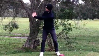 Can this player move the OVERHANGING TREE to take his tee shot?